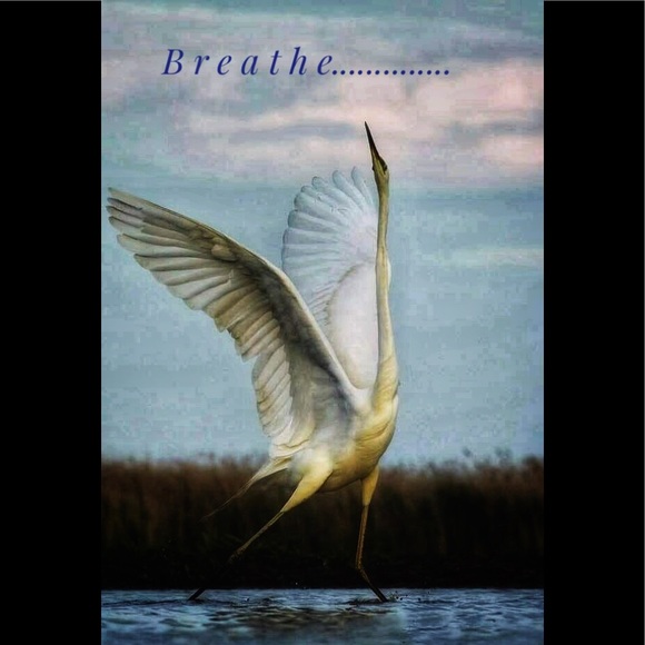 Breathe..... - Picture 1 of 1